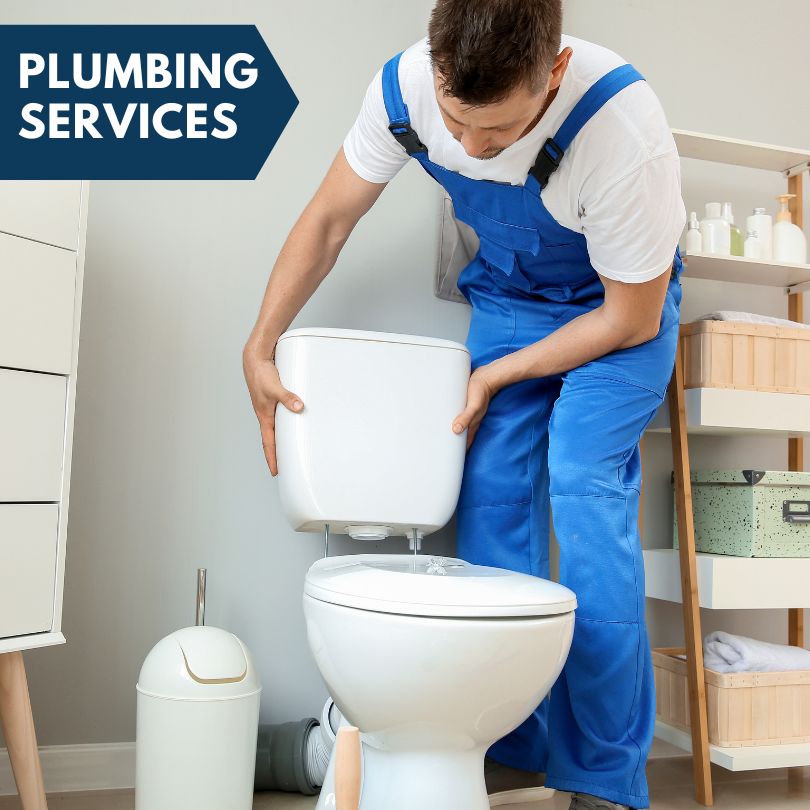 Plumbing Company in Paloma, IL